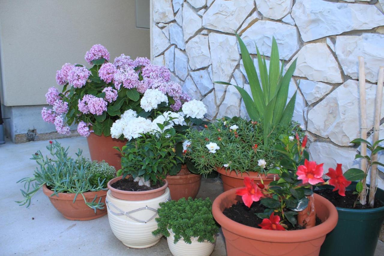 Apartments With A Parking Space Punta Kriza, Cres - 8082 외부 사진