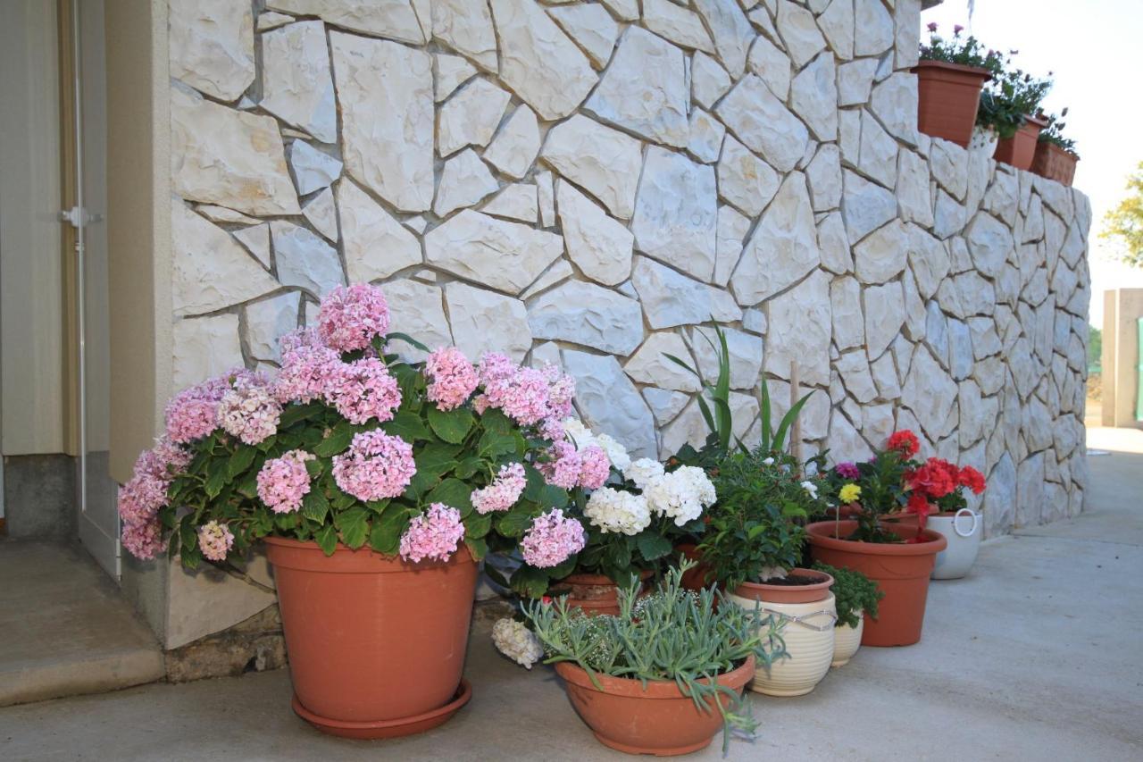 Apartments With A Parking Space Punta Kriza, Cres - 8082 외부 사진